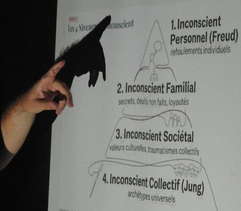 Conference_psychogenealogie (12)