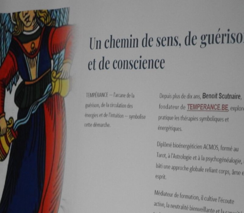 Conference_psychogenealogie (16)